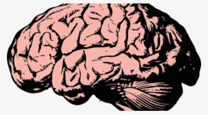 Brain And Spine Infections Archives #21009