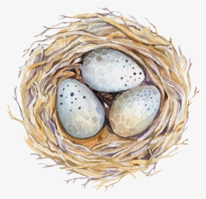 Drawing Egg Watercolor - Easter Watercolour #21525