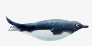 Transparent Whale Watercolor Banner Free Library - Watercolor Painting #21749