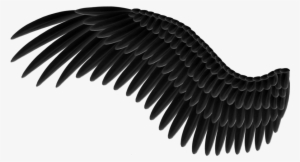 Wings Png - Black Wing Png #21948