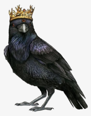 Eyed Raven Modfather Pinball - Raven Illustration #22797