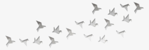 Birds - Picsart White Png #22900