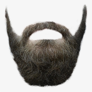Beard Png Transparent Image - Hairstyle Transparent Male Png #22992