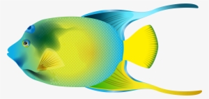 Queen Angelfish Png Transparent Clip Art Image - Angel Fish Png #22993