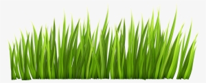 Download Png Images - Grass Transparent Background #23050