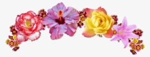 Video Game Flower Crown Edits - Flower Crown Png Transparent #23093