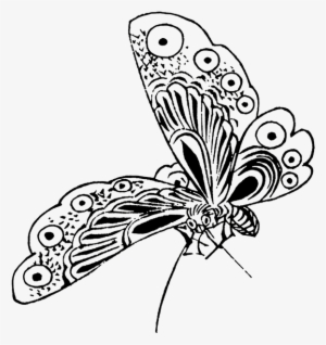 Japanese Drawing Butterfly - Butterfly Drawing Png #23201