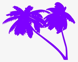 Palm Tree Vector Png Transparent Palm Tree Vector Png Image Free