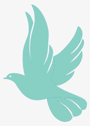 60 White Doves $350 - Dove Png #23405 60 White Doves $350 - Dove Png #23405
