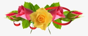 Yellow Rose Flower Free Png Transparent Images Free - Yellow Rose Flower Png #23421