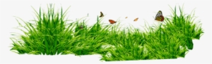 Png Format Grass Png Hd #23577