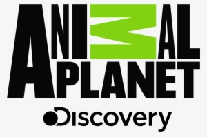 Animal Planet - Animal Planet Logo Png #23613