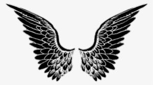 24 Images About - Wings Graffiti Fundo Branco #23880