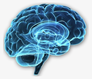 The Predicting Brain And Subliminal Messaging In Advertising - Cuidar Da Pessoa Com Esquizofrenia #24343