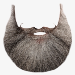 Beard Png Transparent #24614