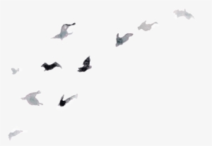 This Graphics Is Creative Bird Design Transparent Watercolor - Watercolor Painting #24708 This Graphics Is Creative Bird Design Transparent Watercolor - Watercolor Painting #24708