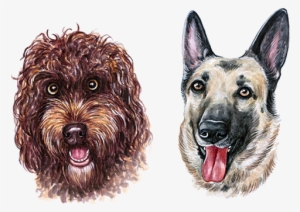 Puppy Transprent Png Free - Watercolor Painting #24807