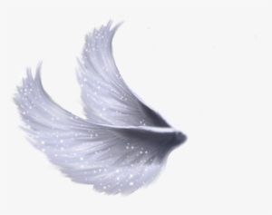 Wings Png 5 By Moonglowlilly - Fairy Wings Png Transparent #24996