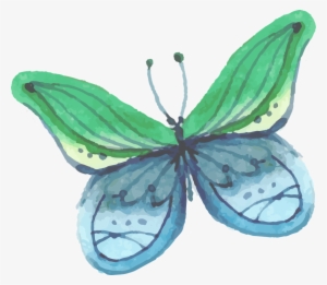 Butterfly 1 - Mariposa Pintura #25058