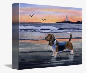 Basset Hound By David Rogers Watercolor Art - Watercolor Painting #25408