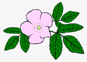 Prickly Wild Rose Drawing Download Flower Watercolor - Clip Art Wild Flower #25409
