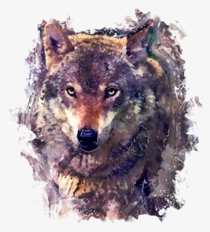 Click And Drag To Re-position The Image, If Desired - Wolf Watercolor Painting #25545