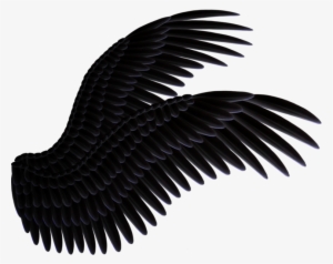 Share This Image - Alas Negras Png #25611