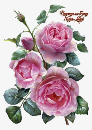 Фото, Автор Иришка-манюшка На Яндекс - Decoupage Flowers #25631