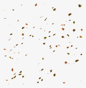 Unrestricted - Autumn Leaves Fall Png #25759