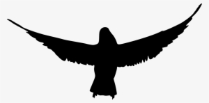 Png File Size - Bird Silhouette Png #25869