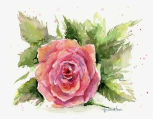 Bleed Area May Not Be Visible #26136