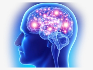 Harmonic Frequencies - Digital Consciousness: The Emotional Digital Frequency #26431 Harmonic Frequencies - Digital Consciousness: The Emotional Digital Frequency #26431