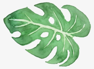 Tropical Leaf Watercolor Png - Watercolor Painting #26571