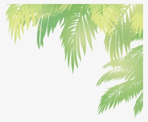 Arecaceae Leaf Euclidean Vector - Coconut Leaves Vector Png #26640