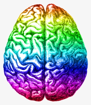 Rainbow Brain, Aug 2014 - Left Brain Right Brain Black And White #27055