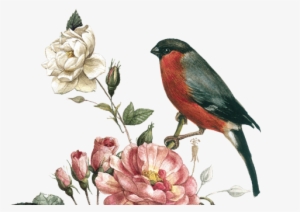 Half Leather Boundsketchbook - Budapest #27205