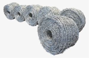 Barbed Wire - Barbed Wire Png #27272
