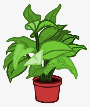 Download Potted Plant Png Transparent Potted Plant Png Image Free Download Pngkey