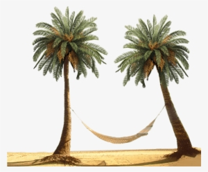 Download - Palm Tree Beach Png #27850