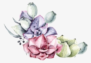 24s58pic6wj 1024 X Oss Process=image/quality,q 70/watermark - Portable Network Graphics #27852