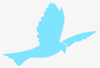 Columbidae Doves As Symbols Download - Dove Baptism Png #27853 Columbidae Doves As Symbols Download - Dove Baptism Png #27853