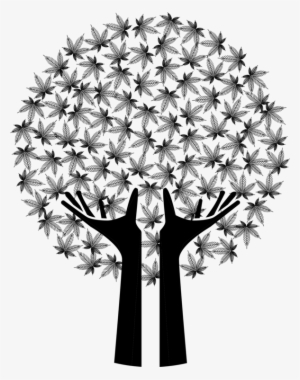 Tree Black And White Drug Hemp Watercolor Painting - Arvore De Maos Png #27875