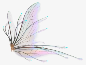 Fairy Wings Png Transparent Fairy Wings Png Image Free Download Pngkey - 3d wings codes for roblox free transparent png clipart