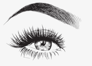 Eyebrow Vector - Eyebrows And Eyelashes Drawing #28770