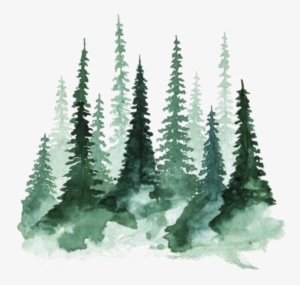 Ftestickers Watercolor Trees Pinetrees Forest - Watercolor Trees #28815