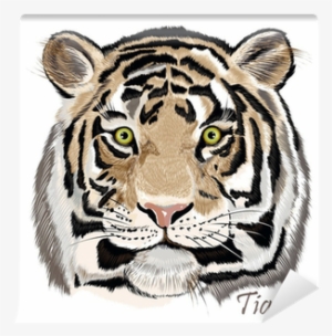 Beautiful Vector Background With Hand Drawn Watercolor #28931