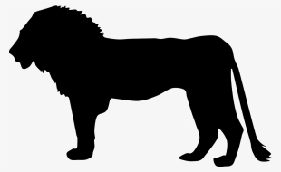 Lion Png Clipart - Lion Silhouette #28970