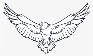 Eagle Wings Png Photo - Eagle Black And White #29064