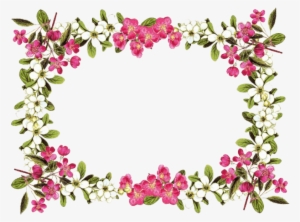 Flower Border Png #29197