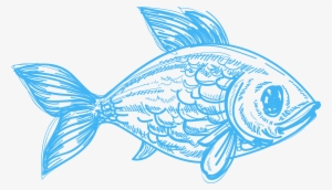 Drawing Deep Sea Creature Pencil Sketch Fish - Pencil Drawings Of Sea Creatures #29540